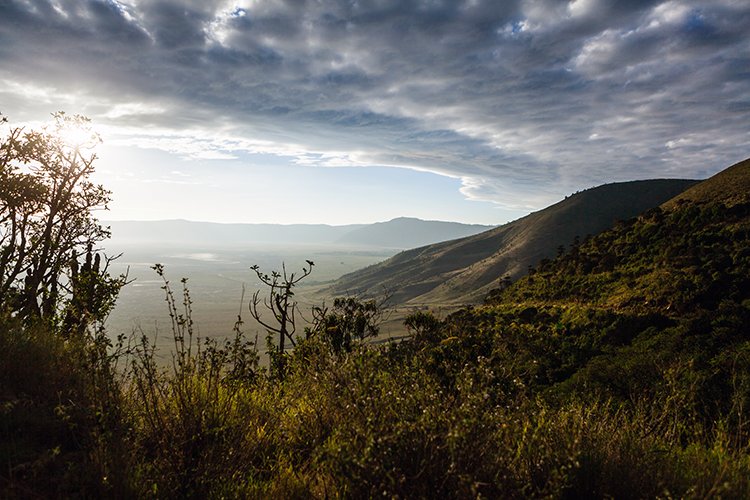 TZA ARU Ngorongoro 2016DEC26 Crater 005